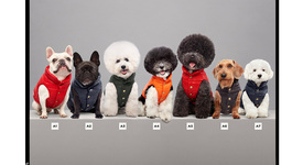 Moncler прави очарователни пухени якета за кучета