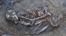 Находката  край Суворово -   скелет на мъж или  на жена?